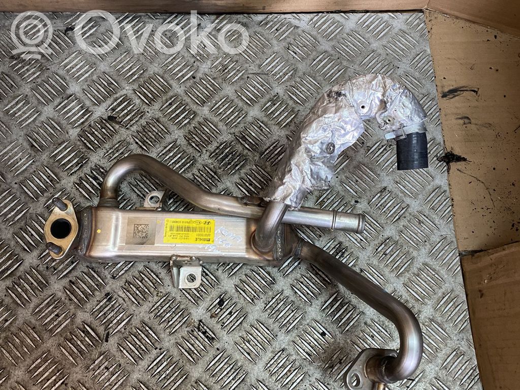 Hyundai Kona I Chłodnica spalin EGR 