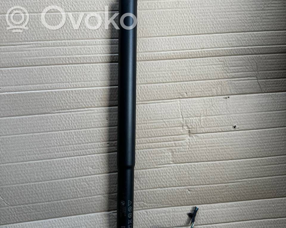 Tailgate/trunk strut/damper   5A2FBE509,04062024,F1091195