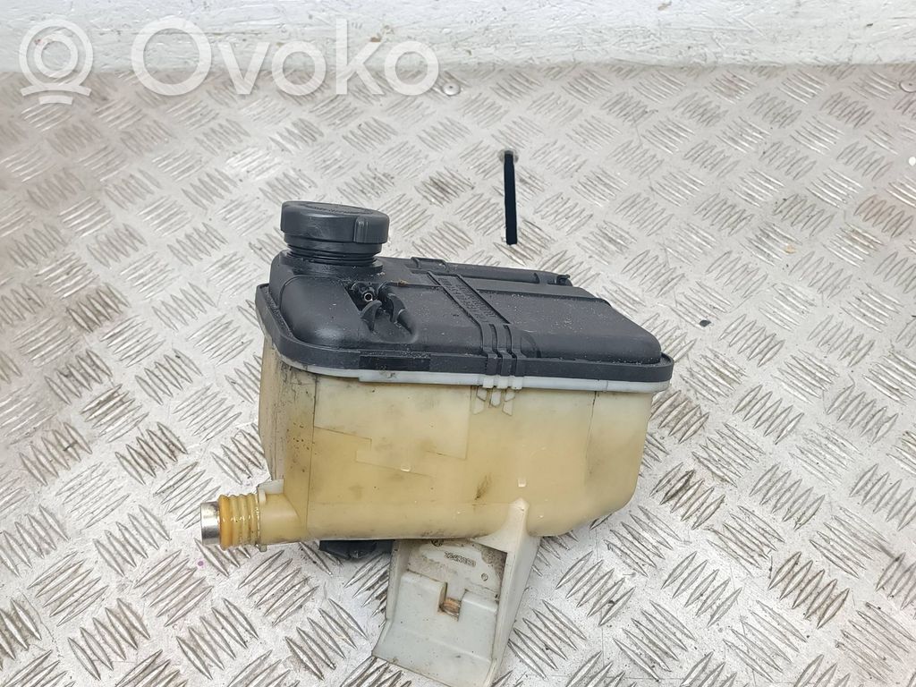 BMW 5 E39 Aušinimo skysčio išsiplėtimo bakelis 