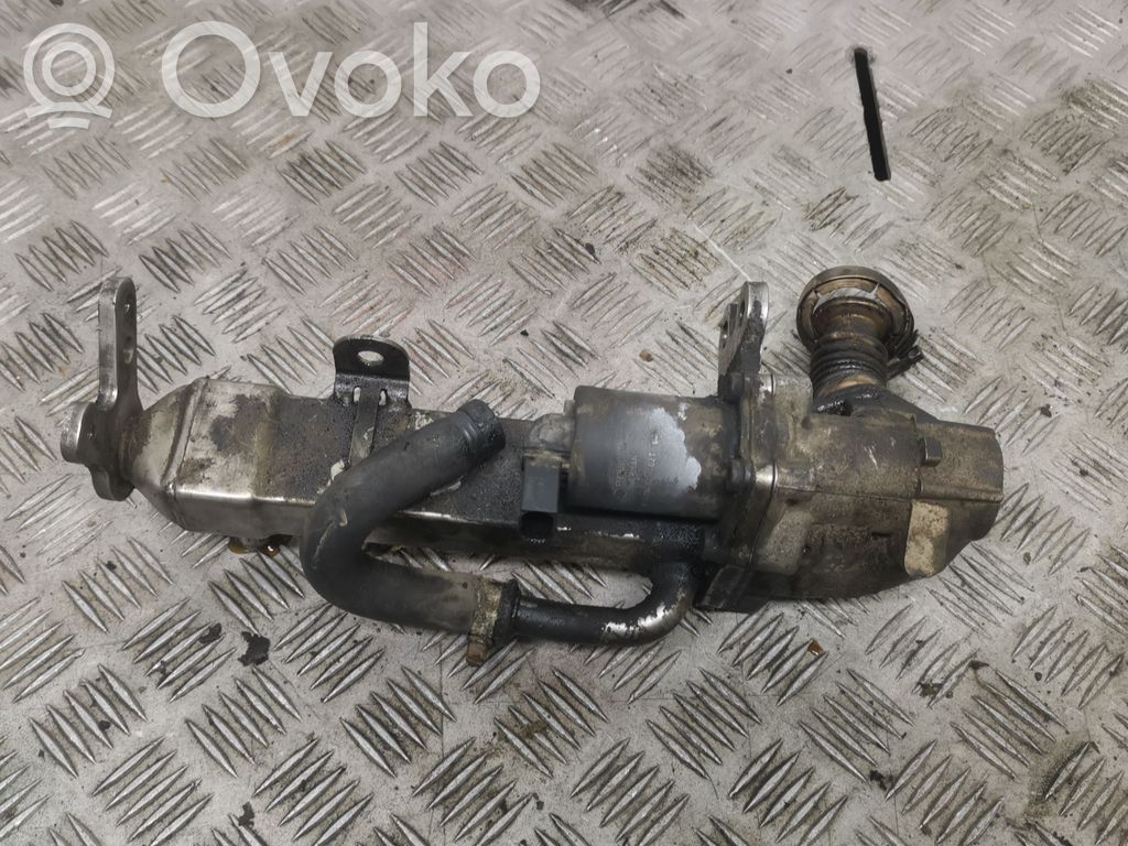 Volvo S80 Válvula EGR 