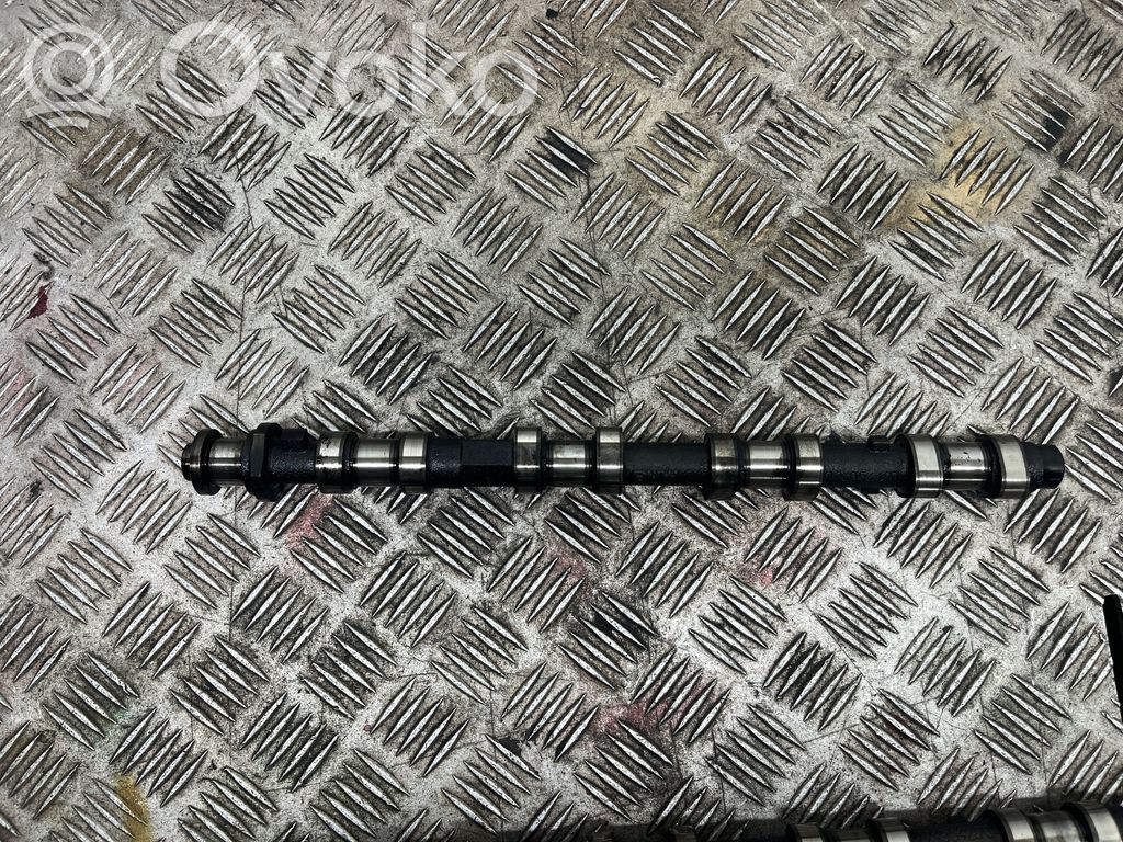 Sadales vārpsta   2249541