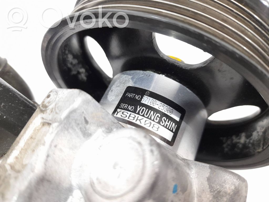 Hyundai Accent Power steering pump 