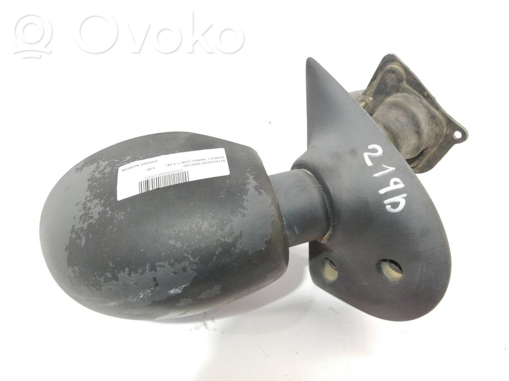Renault Twingo I Spogulis (elektriski vadāms) 