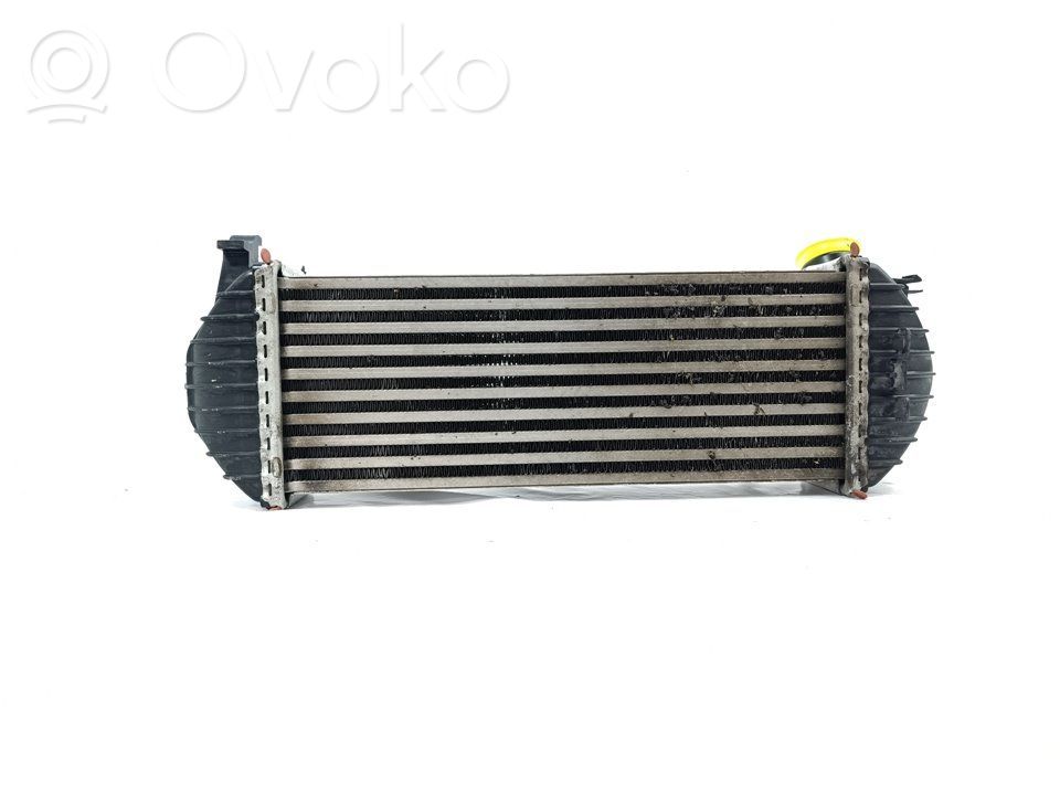 Mercedes-Benz Citan W415 Chłodnica powietrza doładowującego / Intercooler 