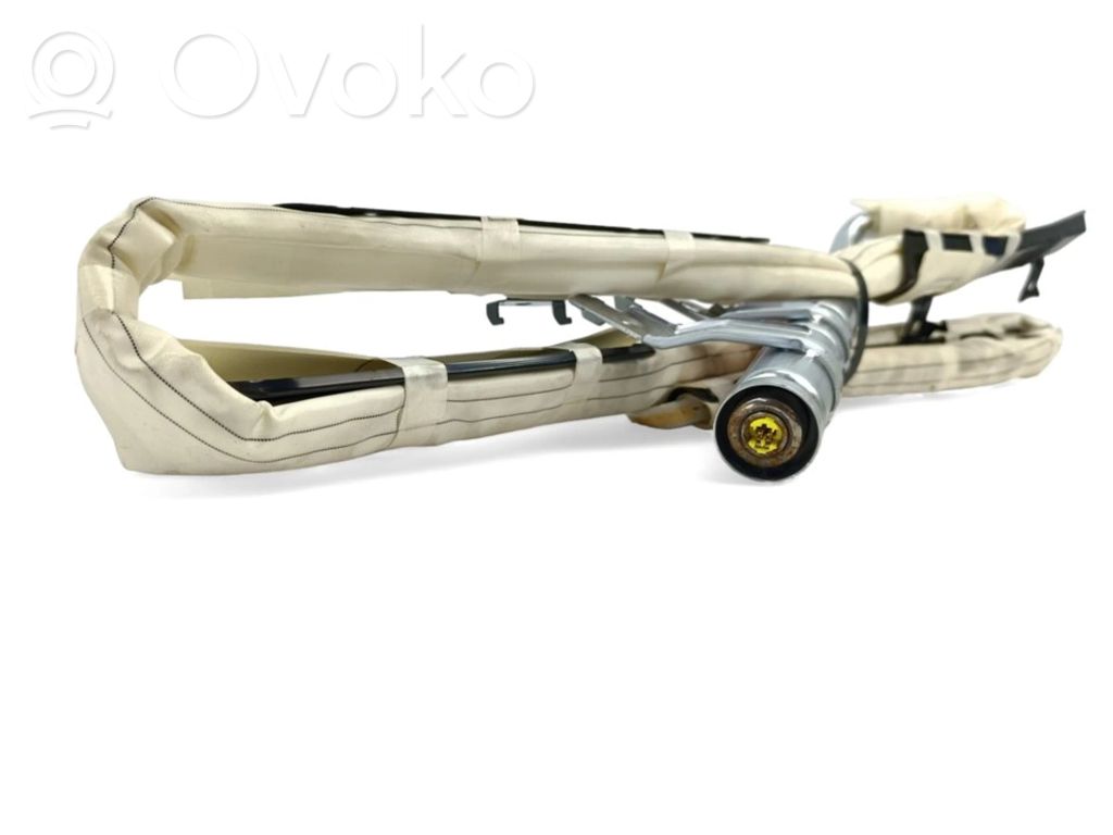 Airbag del techo   602183100B