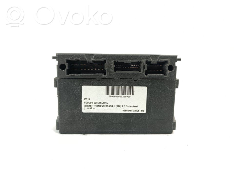 Nissan Terrano Other control units/modules 