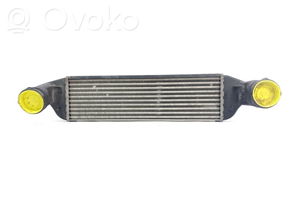 Intercooler radiator   3104890