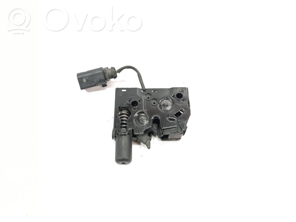 Tie down hook / loop   8V0823509