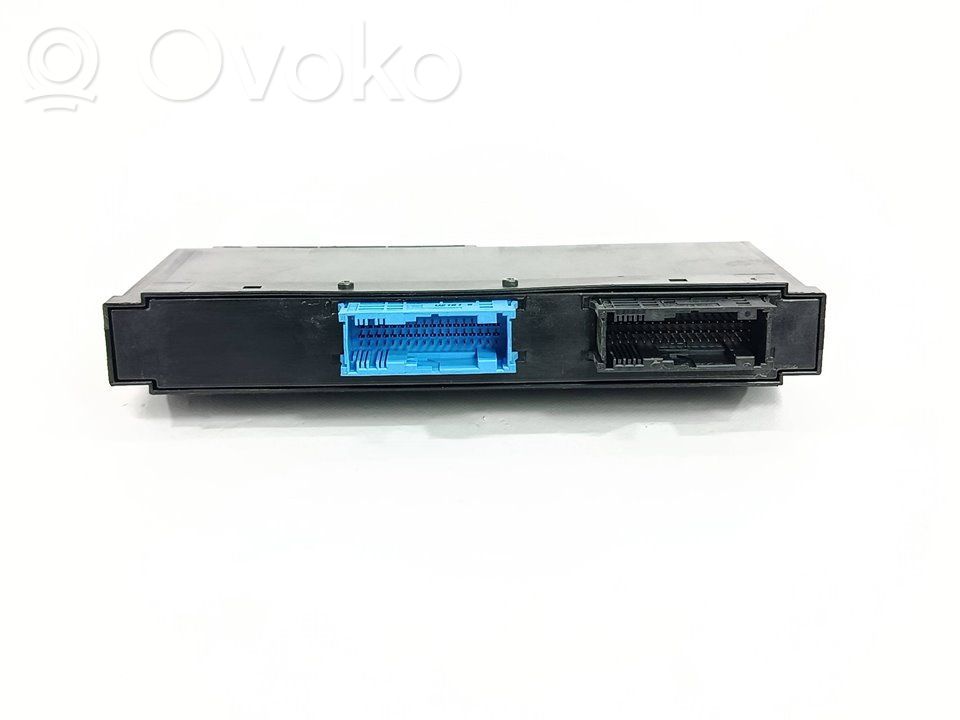 Alte unități/module de control   532306J07