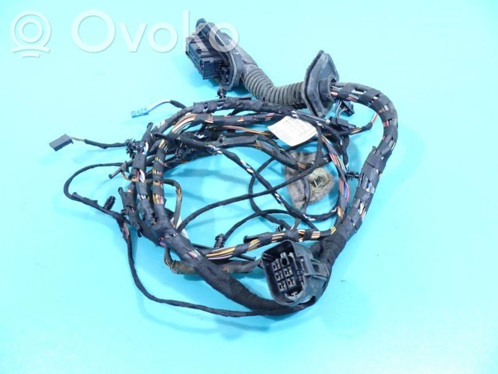 BMW X5 E70 Etuoven johtosarja 