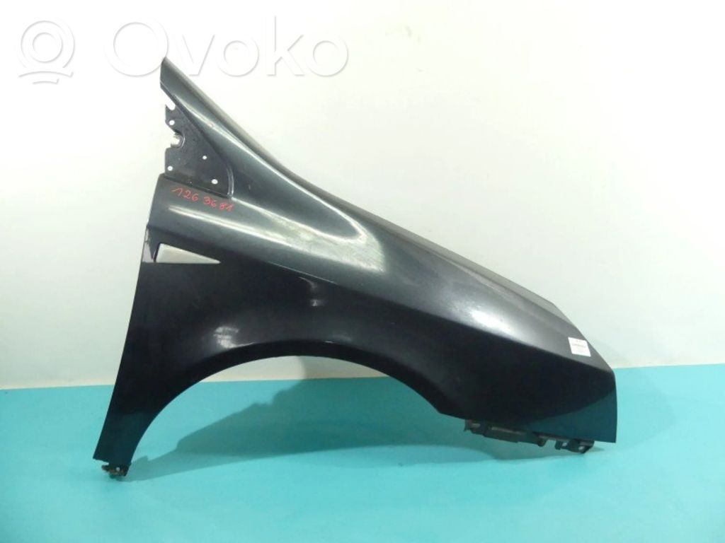 Renault Vel Satis Sparnas 