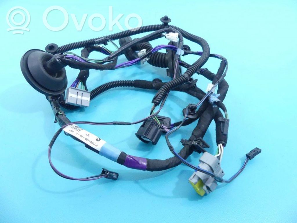 Tesla Model S Cableado de puerta trasera 