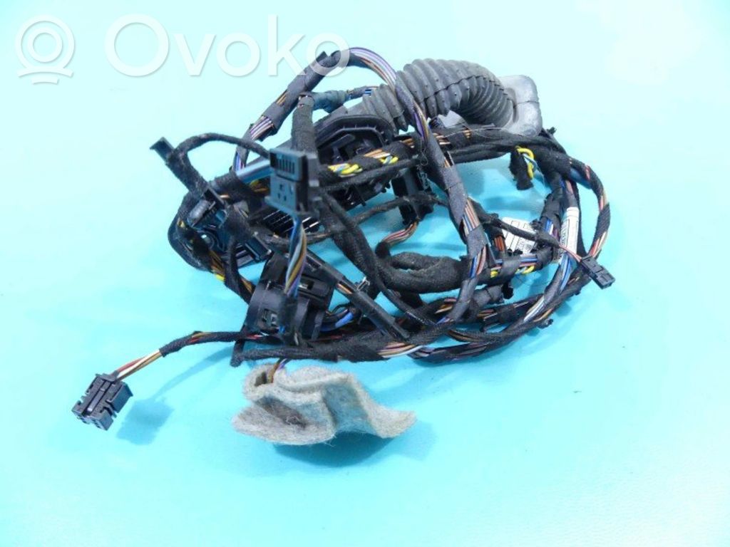 BMW X5 E70 Cableado de puerta delantera 