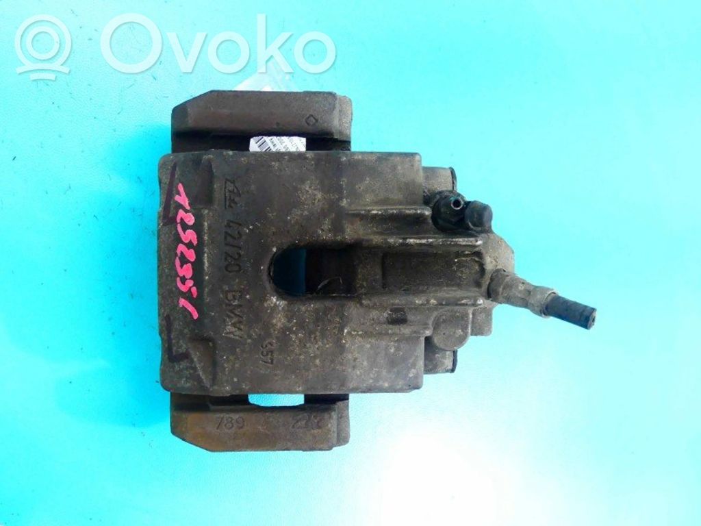 Takajarrusatula   IMPRK1252356