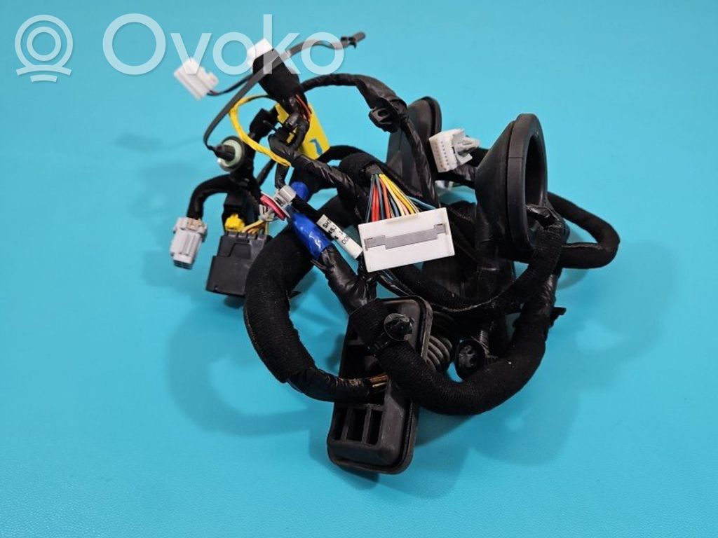 KIA Optima Cableado de puerta delantera 
