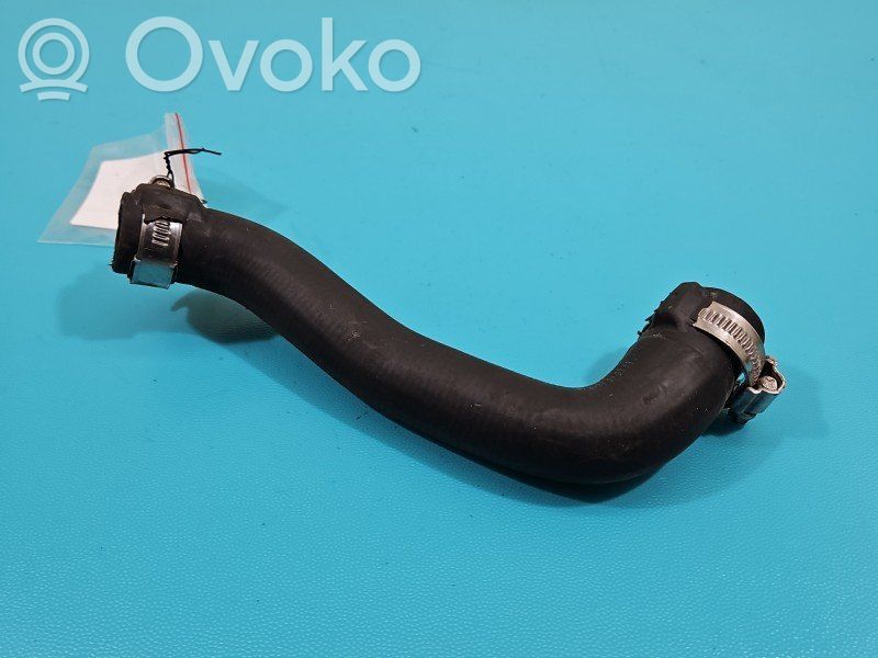 Nissan Juke I F15 Tubo flessibile del liquido di raffreddamento del motore