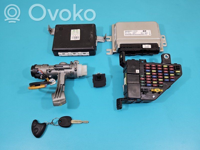 Komputer / Sterownik ECU silnika   3917123271,IMPRK1479395,3918123271