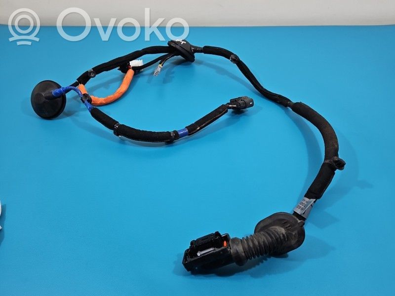 KIA Stinger Cableado de puerta trasera 
