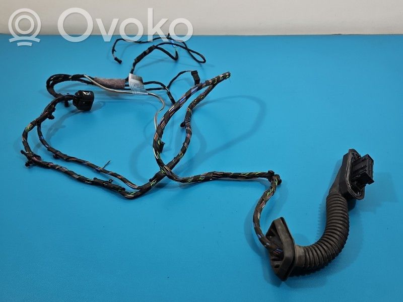 BMW X6 E71 Cableado de puerta trasera 