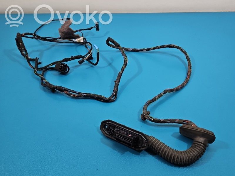 Cableado de puerta trasera   920786003,IMPRK1541492,6925542,6925548