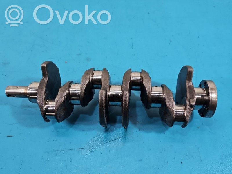 Renault Express Crankshaft 