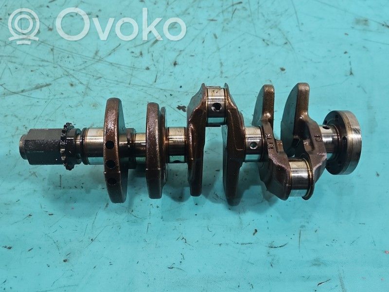 Dacia Sandero Crankshaft 