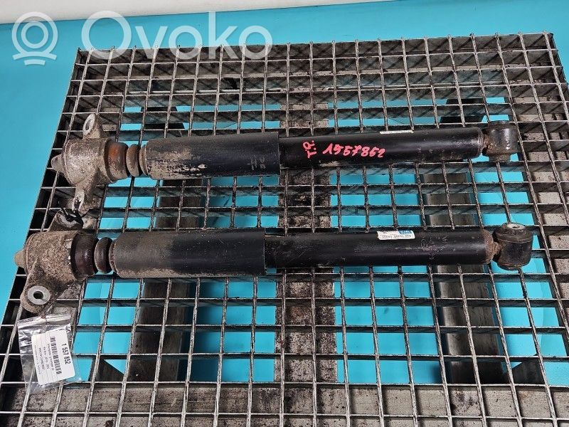 KIA Niro Amortizor spate 