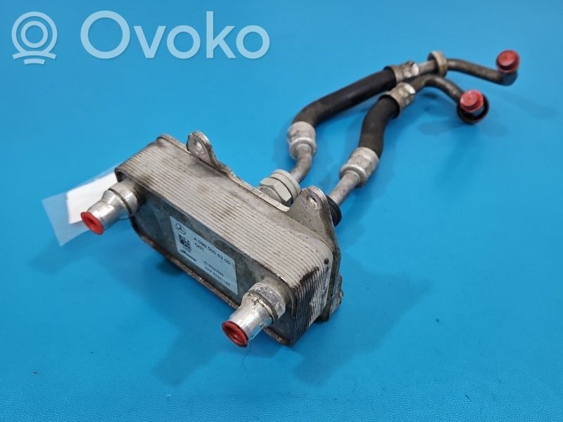 Mercedes-Benz E W213 Radiator ulei motor 