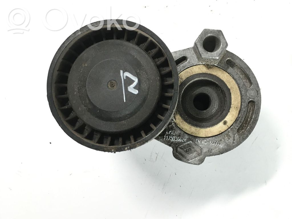 Dacia Duster Napinacz paska alternatora 
