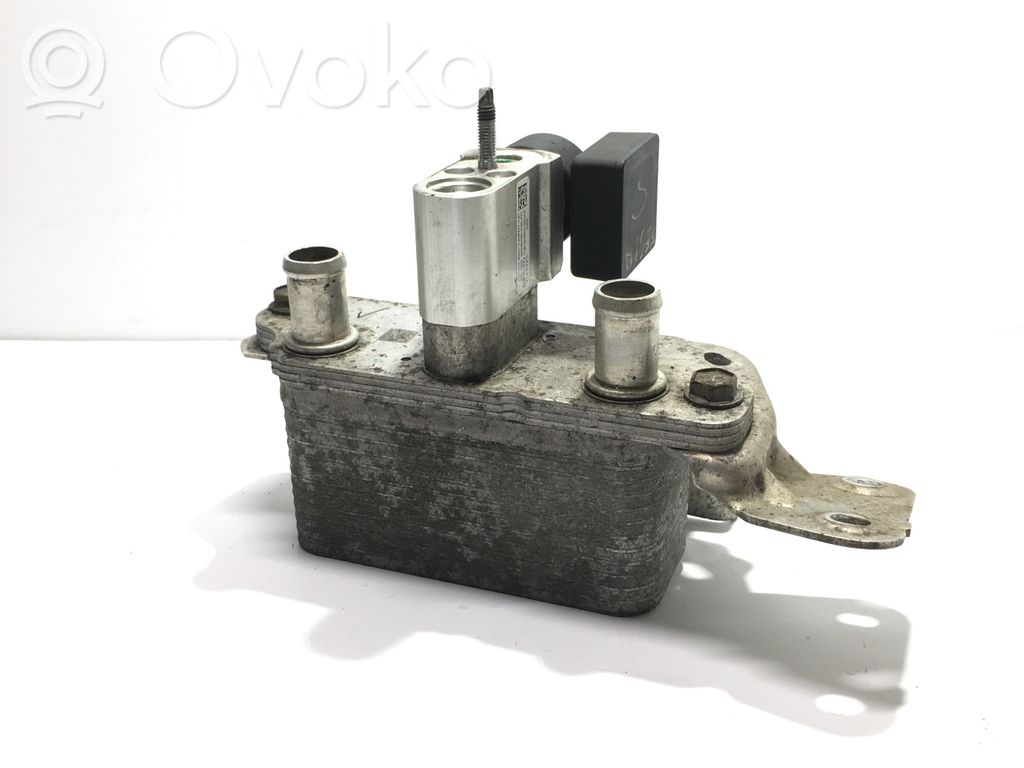 Tesla Model S Hybrid/electric vehicle battery fan 