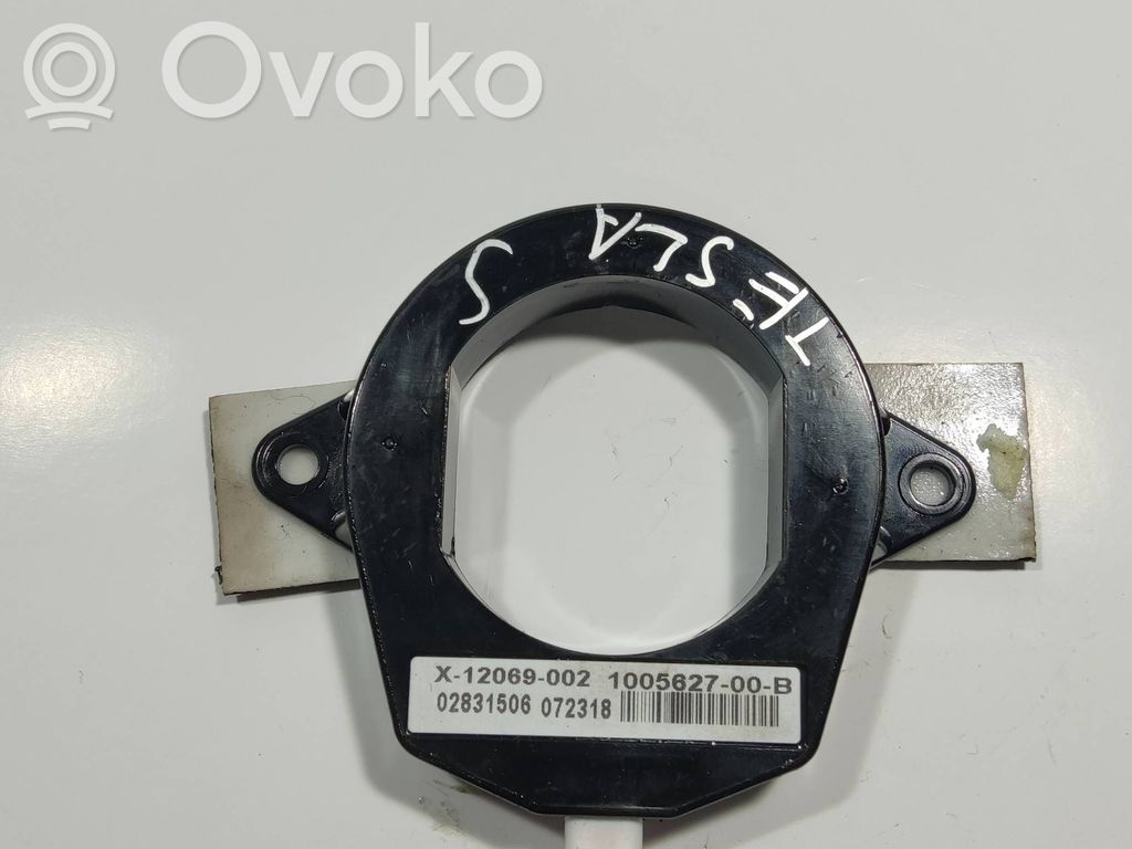 Antena de sistema sin llave   X12069002,100562700B,02831506