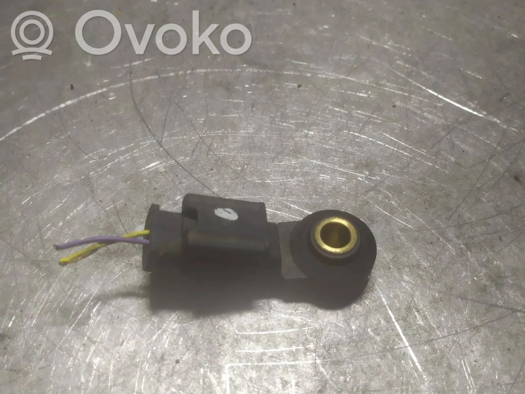 Peugeot 206+ Klopfsensor 