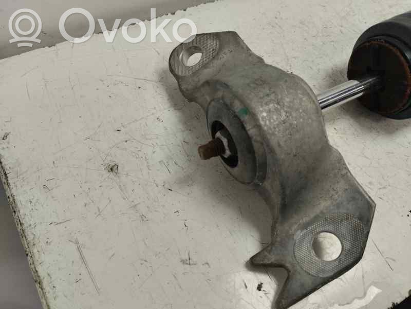 Opel Insignia A Amortizor spate