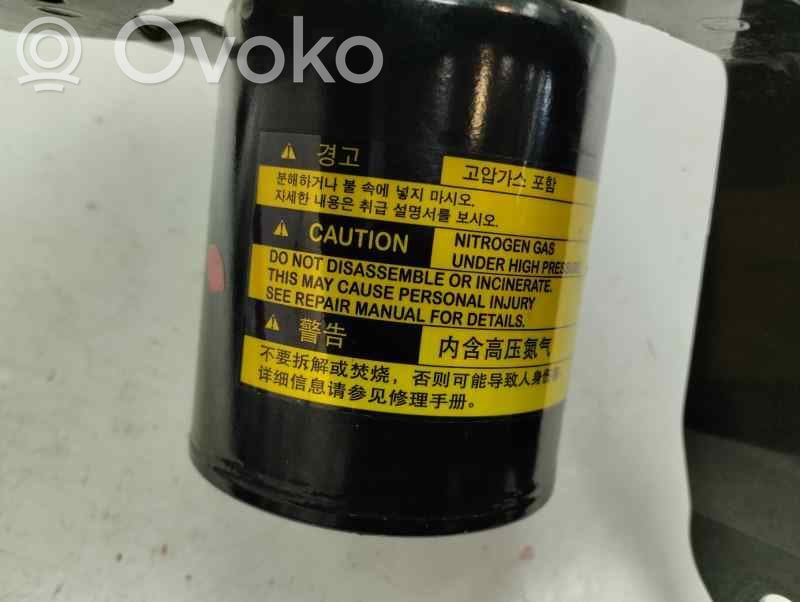 Bomba de ABS   58600G5300