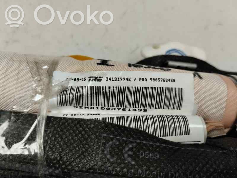 Airbag del techo   9805768480