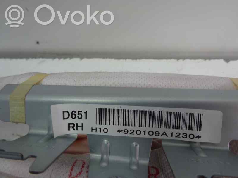 Kattoturvatyyny   D651
