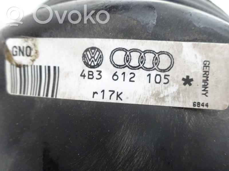 Volkswagen PASSAT B5 Servofreno 