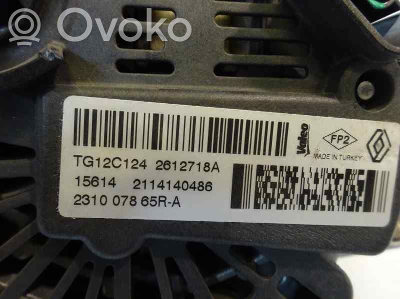 Alternador   231007865RA