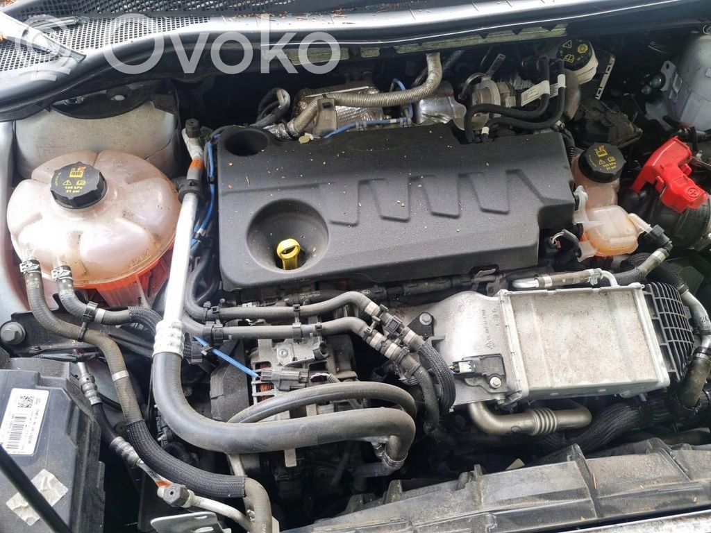 Ford Kuga III Engine 