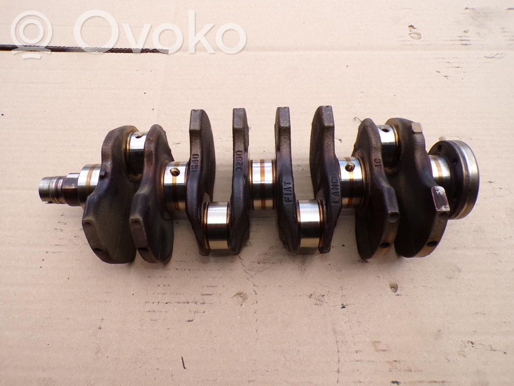 Crankshaft   46403290,46403290
