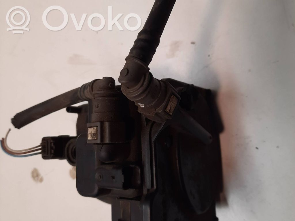 Peugeot 207 Fuel filter 