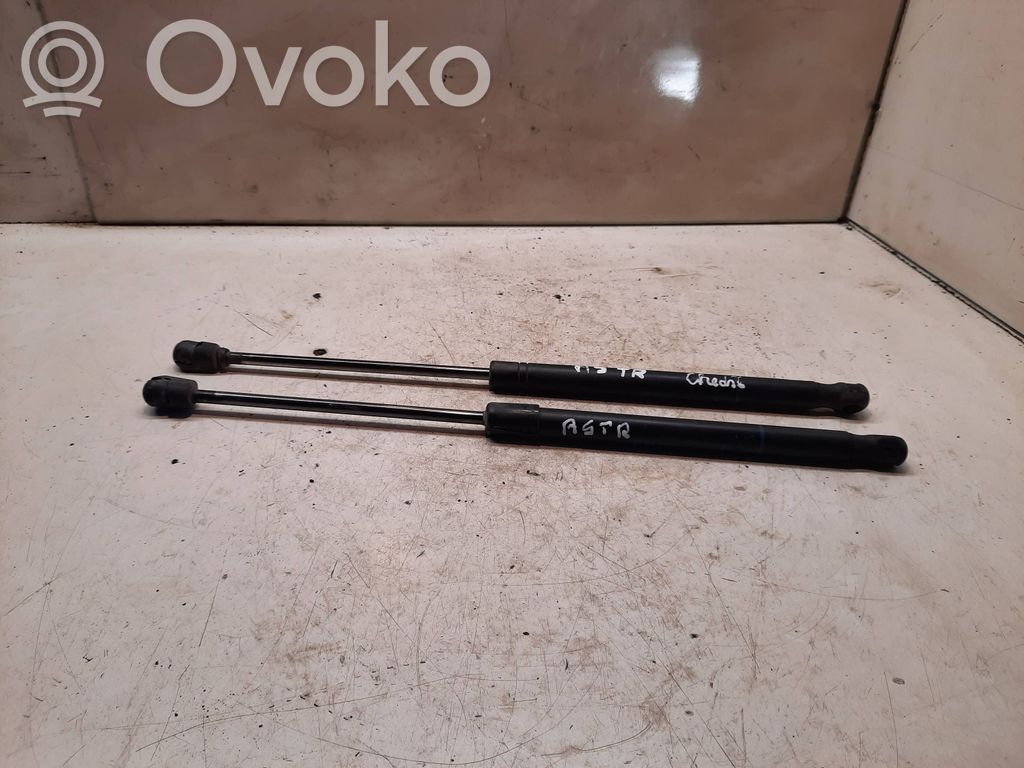 Tailgate/trunk strut/damper