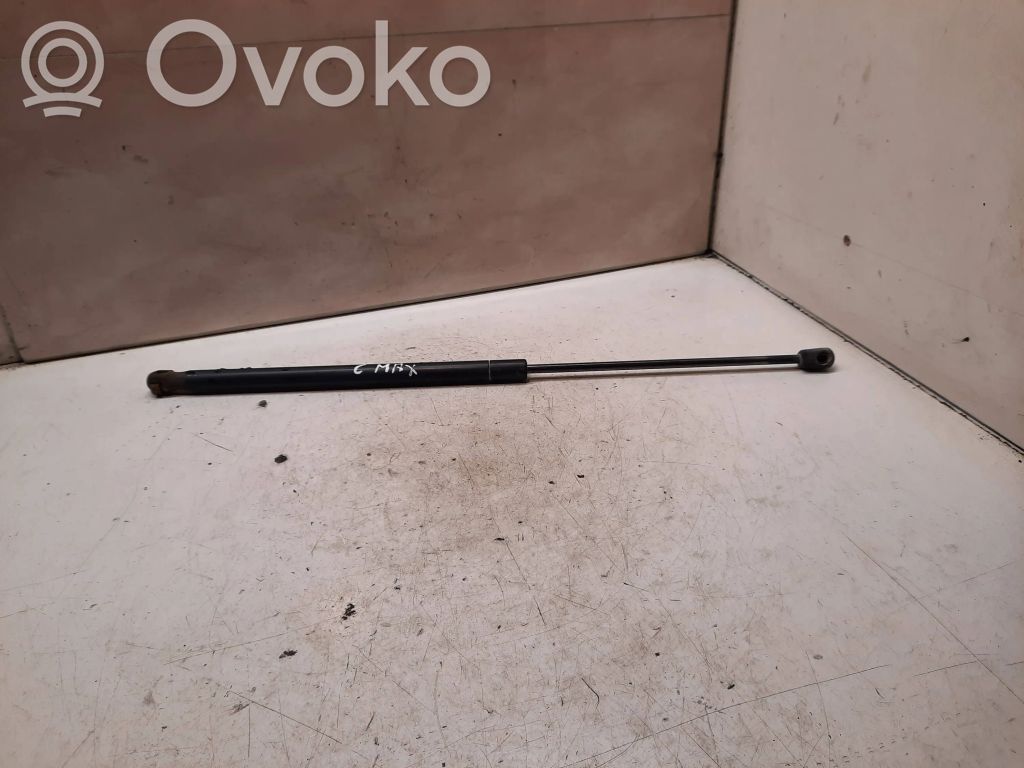Tailgate/trunk strut/damper