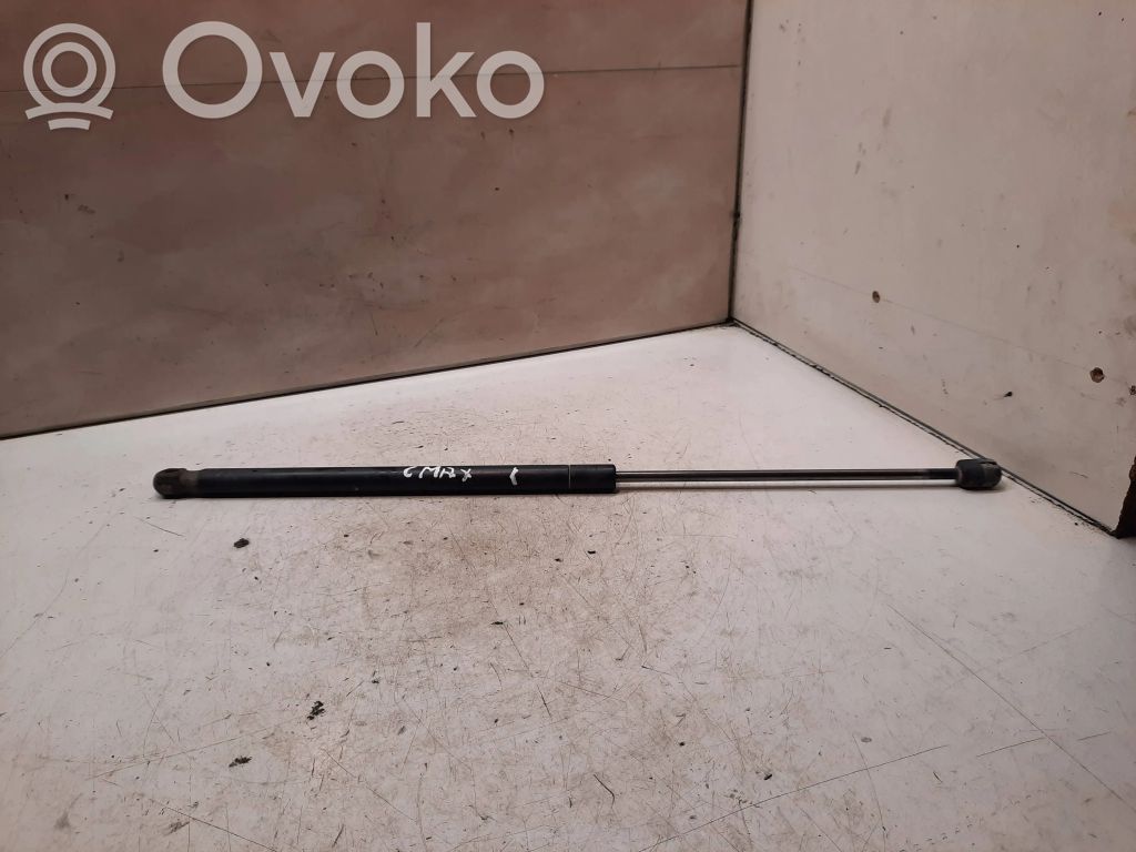 Tailgate/trunk strut/damper