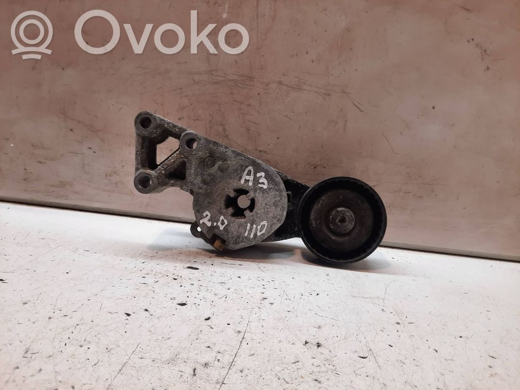 Audi A3 S3 8P Diržo įtempėjas 