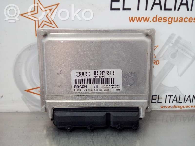 Engine control unit/module   0261204806,4625