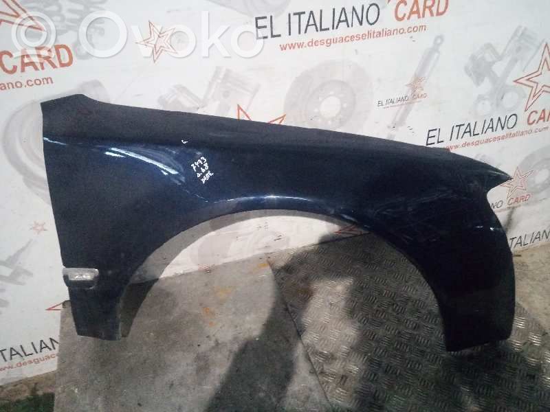 Fender