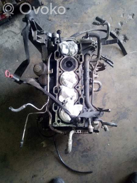 Engine block   B5244T4,6640