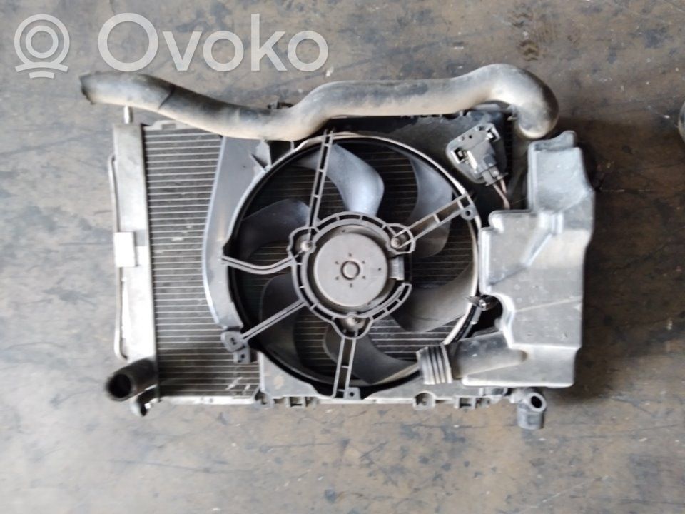 Renault Clio III Aušinimo skysčio radiatorius 