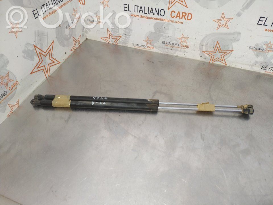 Citroen C8 Tailgate/trunk strut/damper 